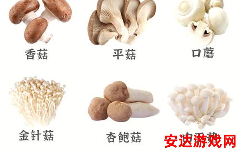 蘑菇蘑菇：蘑菇蘑菇，你知道它的各种种类和功效吗？