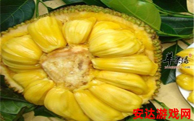 国精产品一一二二菠萝蜜：国精产品一一二二菠萝蜜的特点是什么？
