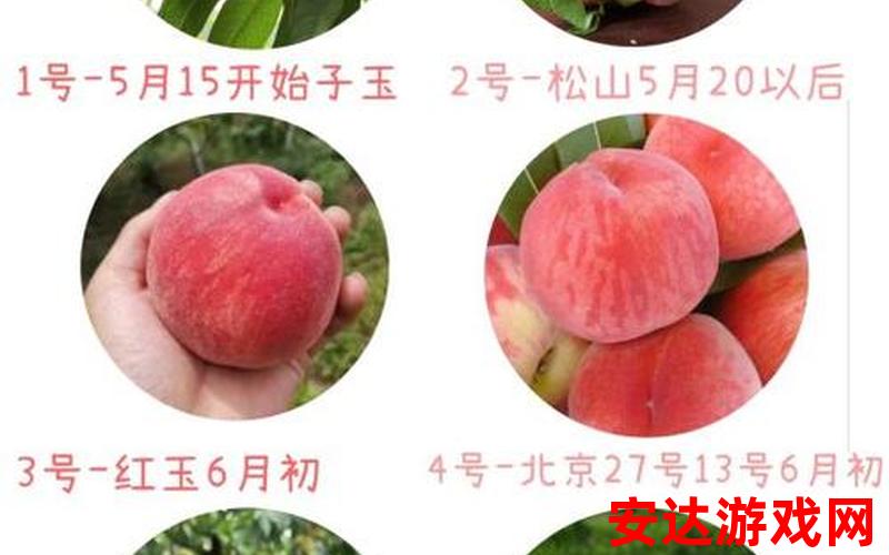 水蜜桃最新品种：水蜜桃最新品种有什么特点？