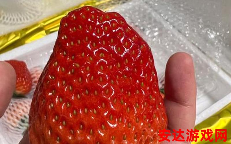 九九草莓好吃吗：九九草莓是不是好吃呢？