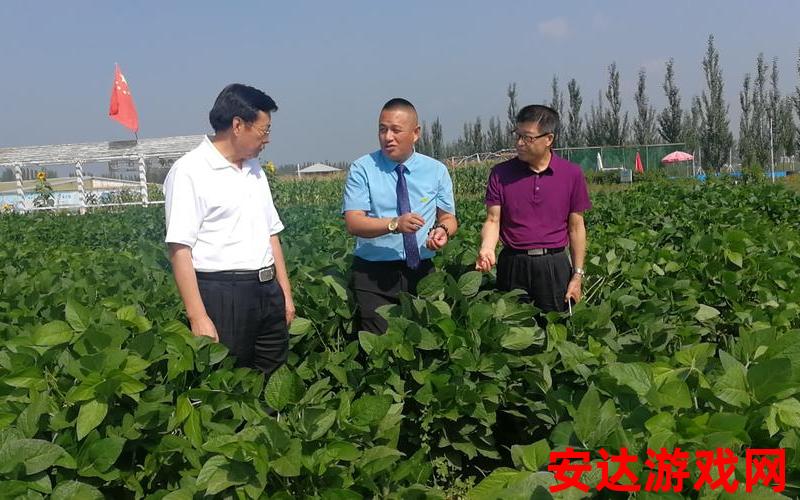 北京国豆农业科技集团股份有限公司：北京国豆农业科技集团是什么公司？