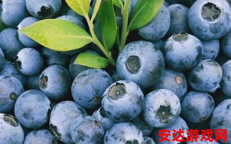 蓝莓草莓菠萝蜜可以一起吃吗：蓝莓、草莓、菠萝蜜可混合食用吗？