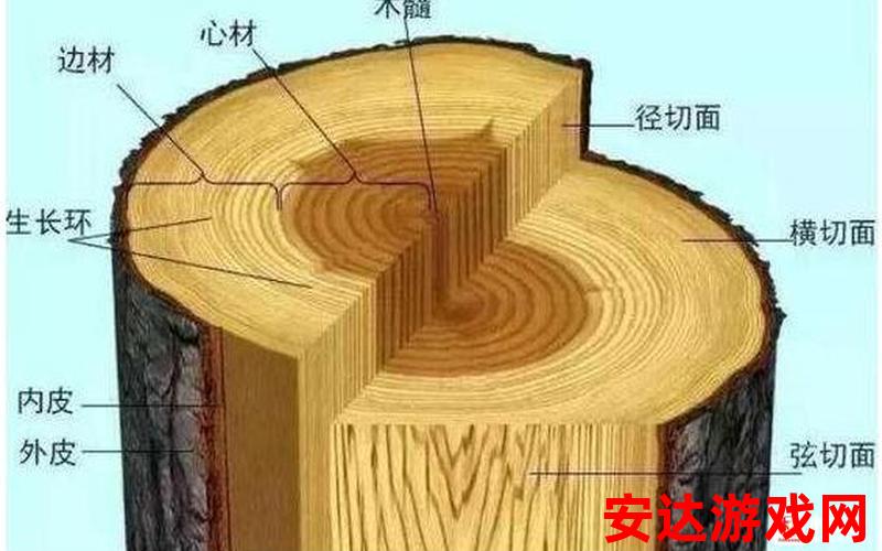 有三根粗细相同的木材,要把每根：这三根木材有何特殊之处？