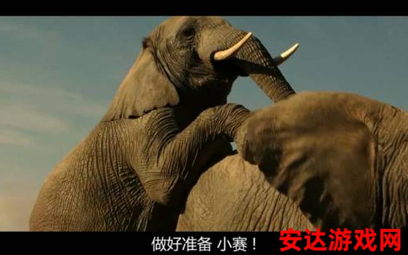 大象电视：大象电视：如何让你的观影体验更加震撼？