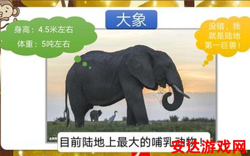 大象002：大象002是如何成为大象王国的领袖的？