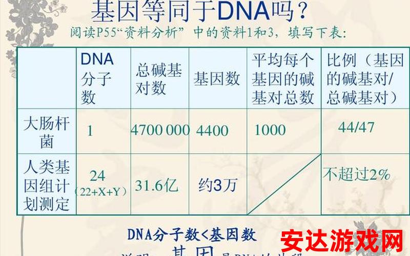 母亲dna和儿子dna一样不：母亲和儿子的DNA相同吗？
