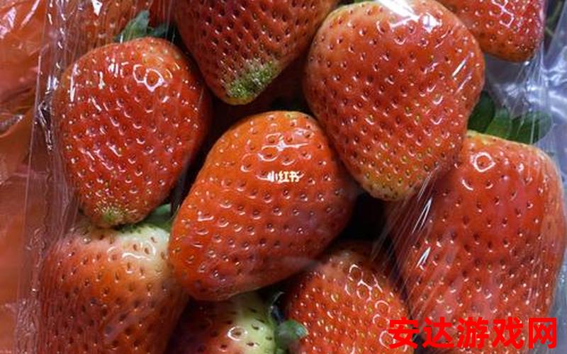 草莓跟菠萝蜜：草莓和菠萝蜜，谁更甜美诱人？