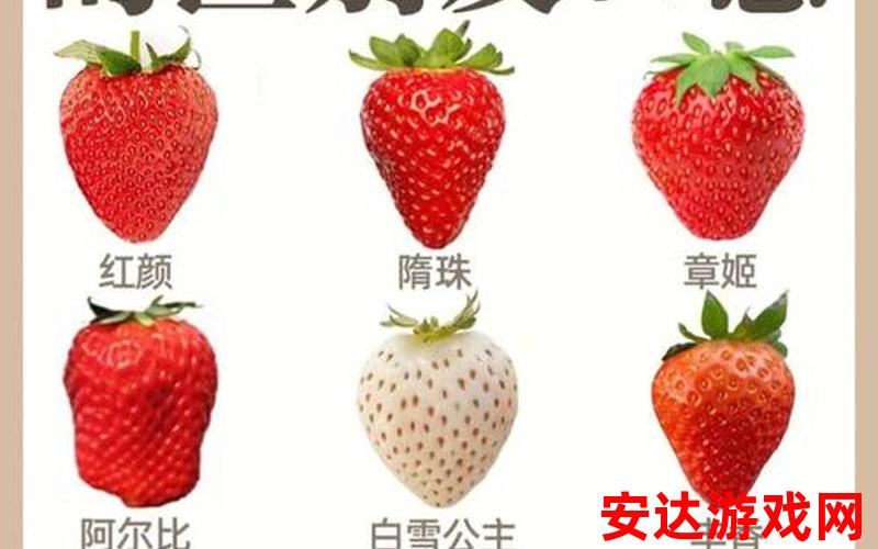 草莓和菠萝蜜营养价值：草莓和菠萝蜜的营养价值有哪些呢？