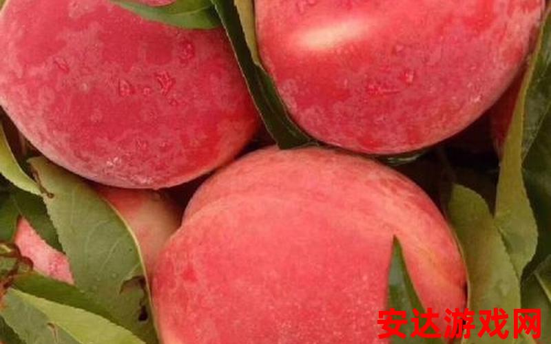 水蜜桃哪个品种最好吃：水蜜桃品种中，哪个最好吃？