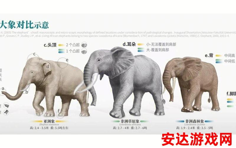 大象伊浦2023人口：大象伊浦2023人口会有哪些变化？