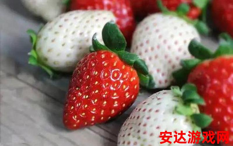 菠萝莓和草莓的区别：菠萝莓与草莓有什么不同？