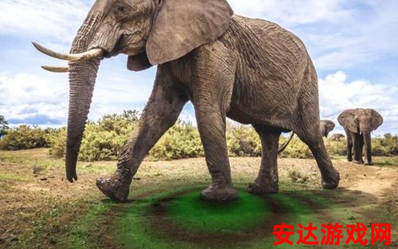 大象新动向：大象新动向：现在的大象还会有新的发现吗？