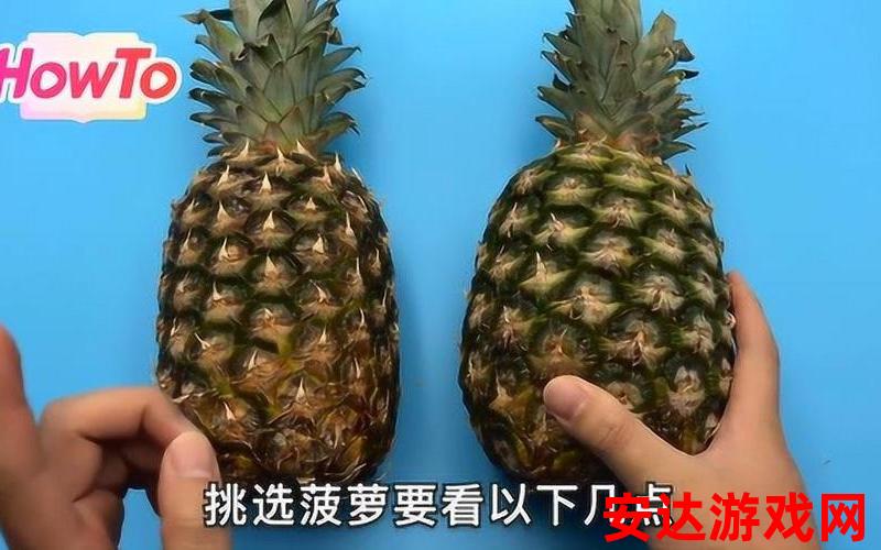 菠萝视频：菠萝视频：如何在不使用标点符号的情况下享受高质量的视频内容？