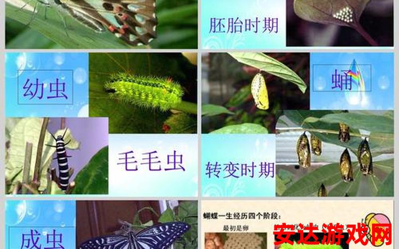 毛毛虫纪录片：毛毛虫纪录片：它们是如何蜕变成美丽的蝴蝶的？