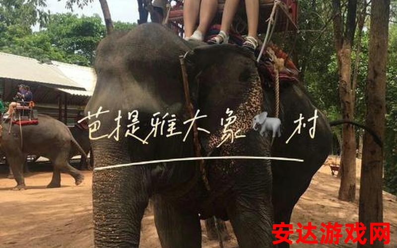芭提雅大象园：芭提雅大象园：如何体验与大象亲密接触的奇妙之旅？